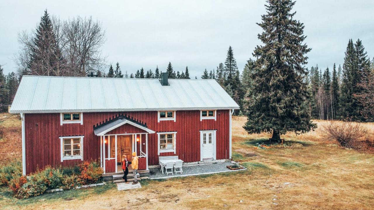 Taiga Forest Lodge Gällivare Exterior foto